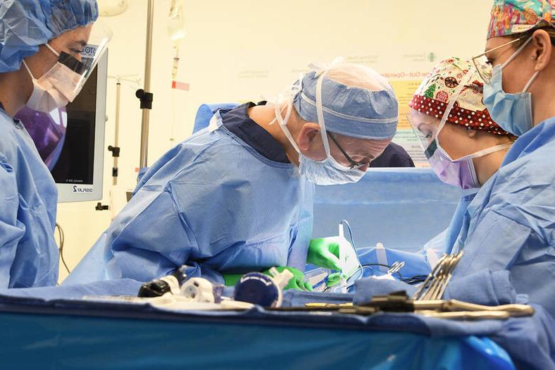 十大网赌平台推荐卫生 Bariatric Surgery caregivers performing surgery
